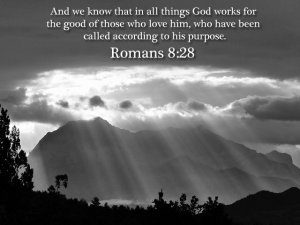 Mothering for All Things to Work Together - Romans 8:28