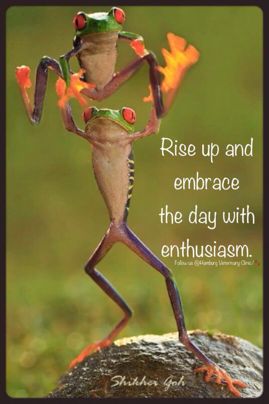 Rise Up and Embrace the Day with ENTHUSIASM