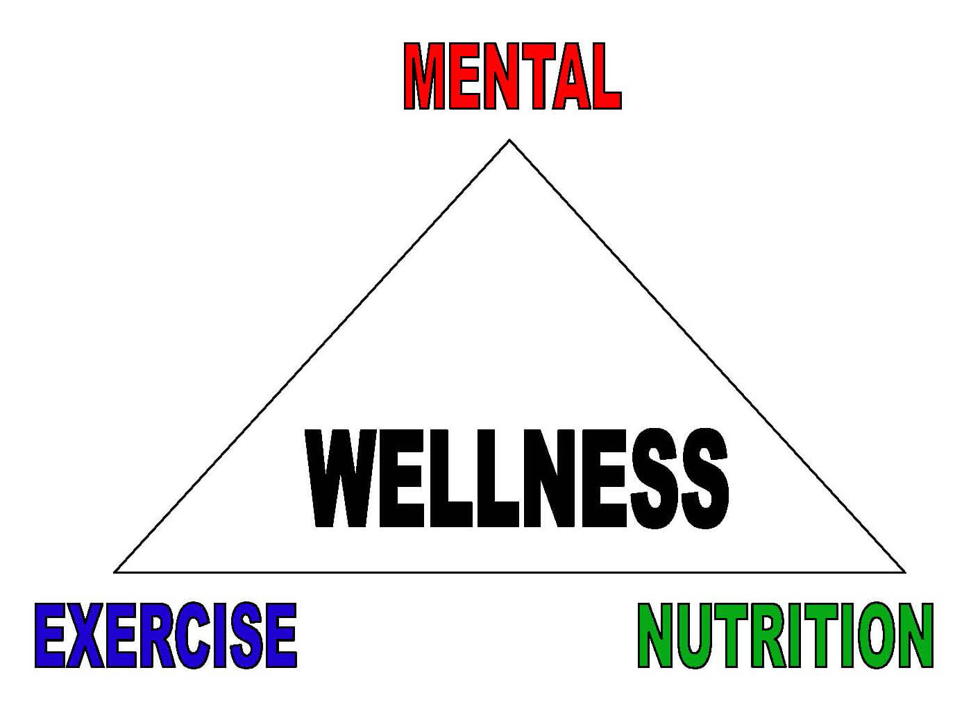 The Wellness Triangle