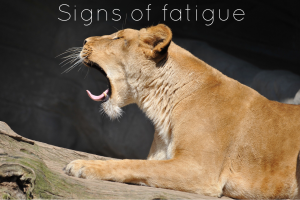Signs of fatigue