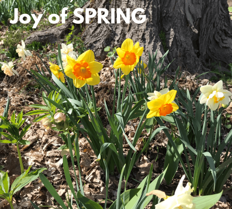Passover, Easter and the Joy of Spring