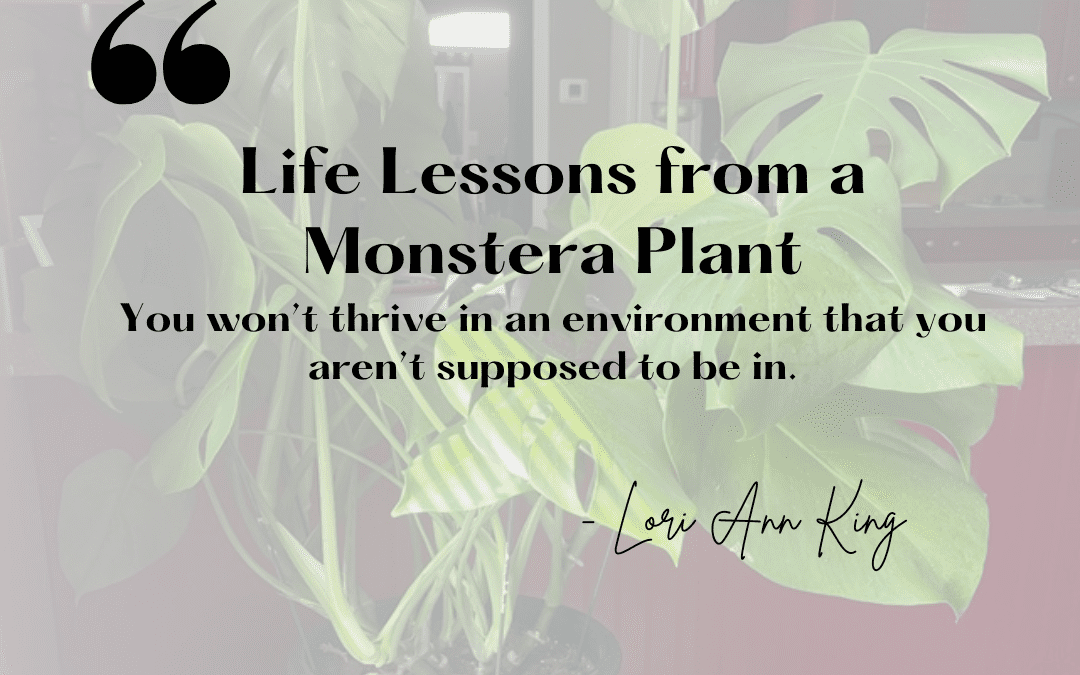 Life Lessons from a Monstera Plant